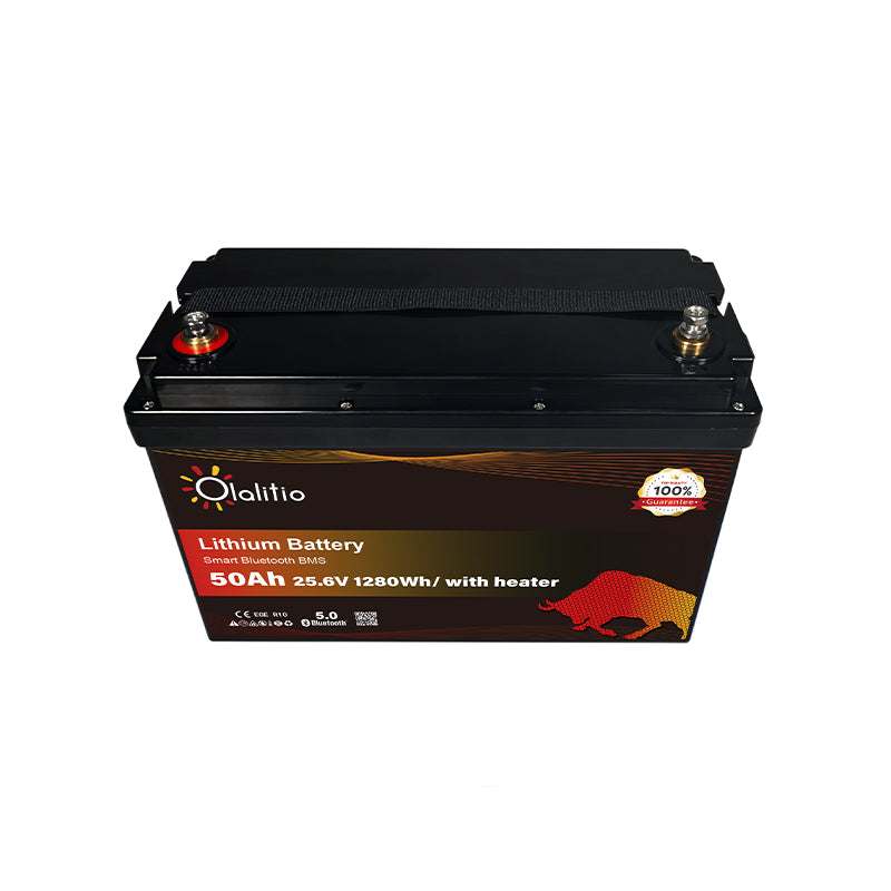 Bateria LiFePO4-50Ah - Olalitio Smart BMS (OLA-24-50-H)