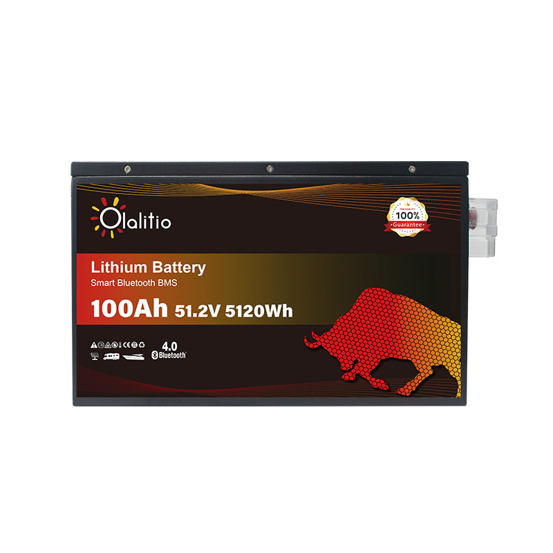 Bateria LiFePO4-100Ah - Olalitio Smart BMS (OLA-48-100-M)