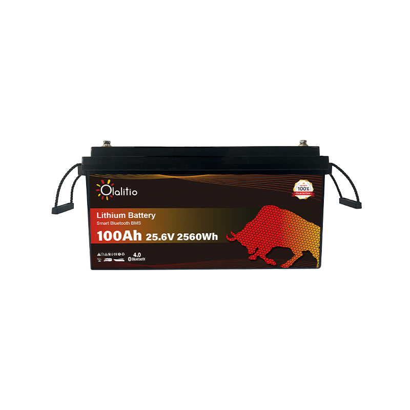 Bateria LiFePO4-100Ah - Olalitio Smart BMS (OLA-24-100-P)