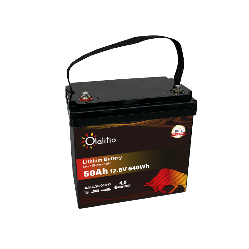 Bateria LiFePO4-50Ah - Olalitio Smart BMS (OLA-12-50)