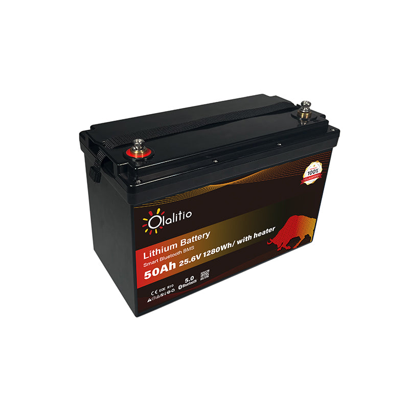 Bateria LiFePO4-50Ah - Olalitio Smart BMS (OLA-24-50-H)