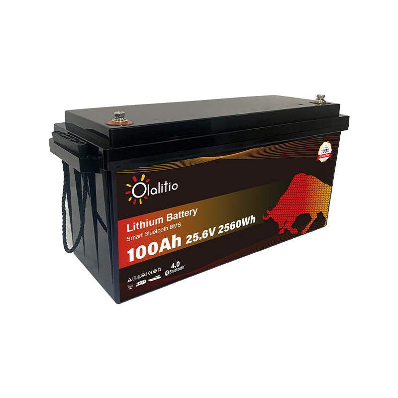 Bateria LiFePO4-100Ah - Olalitio Smart BMS (OLA-24-100-P)