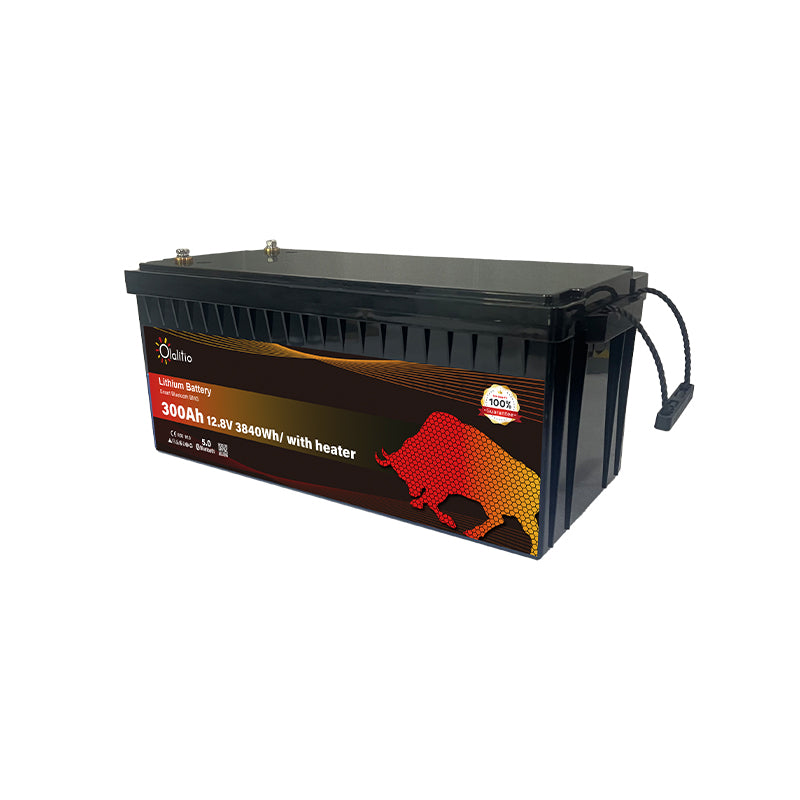 Bateria LiFePO4-300Ah - Olalitio Smart BMS (OLA-12-300-PH)