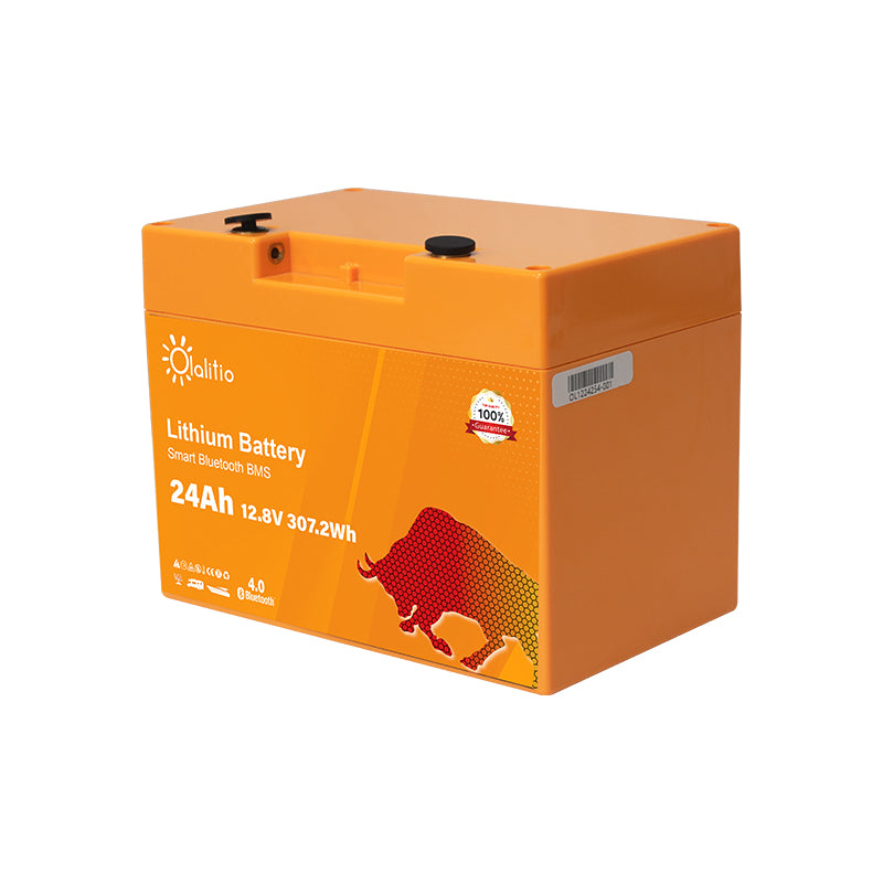 Bateria LiFePO4-24Ah - Olalitio Smart BMS (12v)