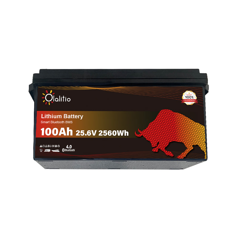 Bateria LiFePO4-100Ah - Olalitio Smart BMS (OLA-24-100-P)