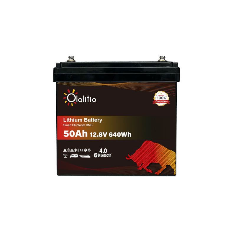 Bateria LiFePO4-50Ah - Olalitio Smart BMS (OLA-12-50)
