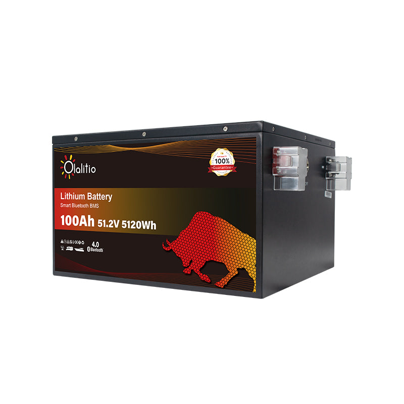 Bateria LiFePO4-100Ah - Olalitio Smart BMS (OLA-48-100-M)