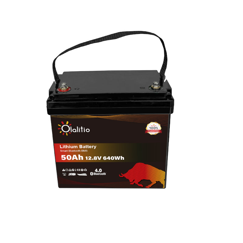Bateria LiFePO4-50Ah - Olalitio Smart BMS (OLA-12-50)