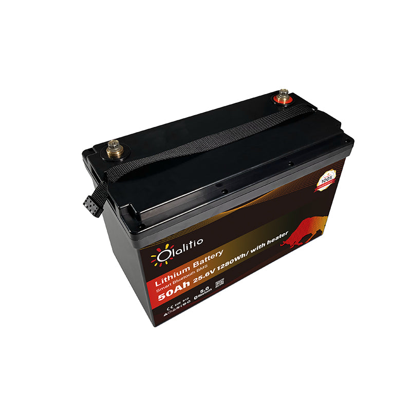 Bateria LiFePO4-50Ah - Olalitio Smart BMS (OLA-24-50-H)