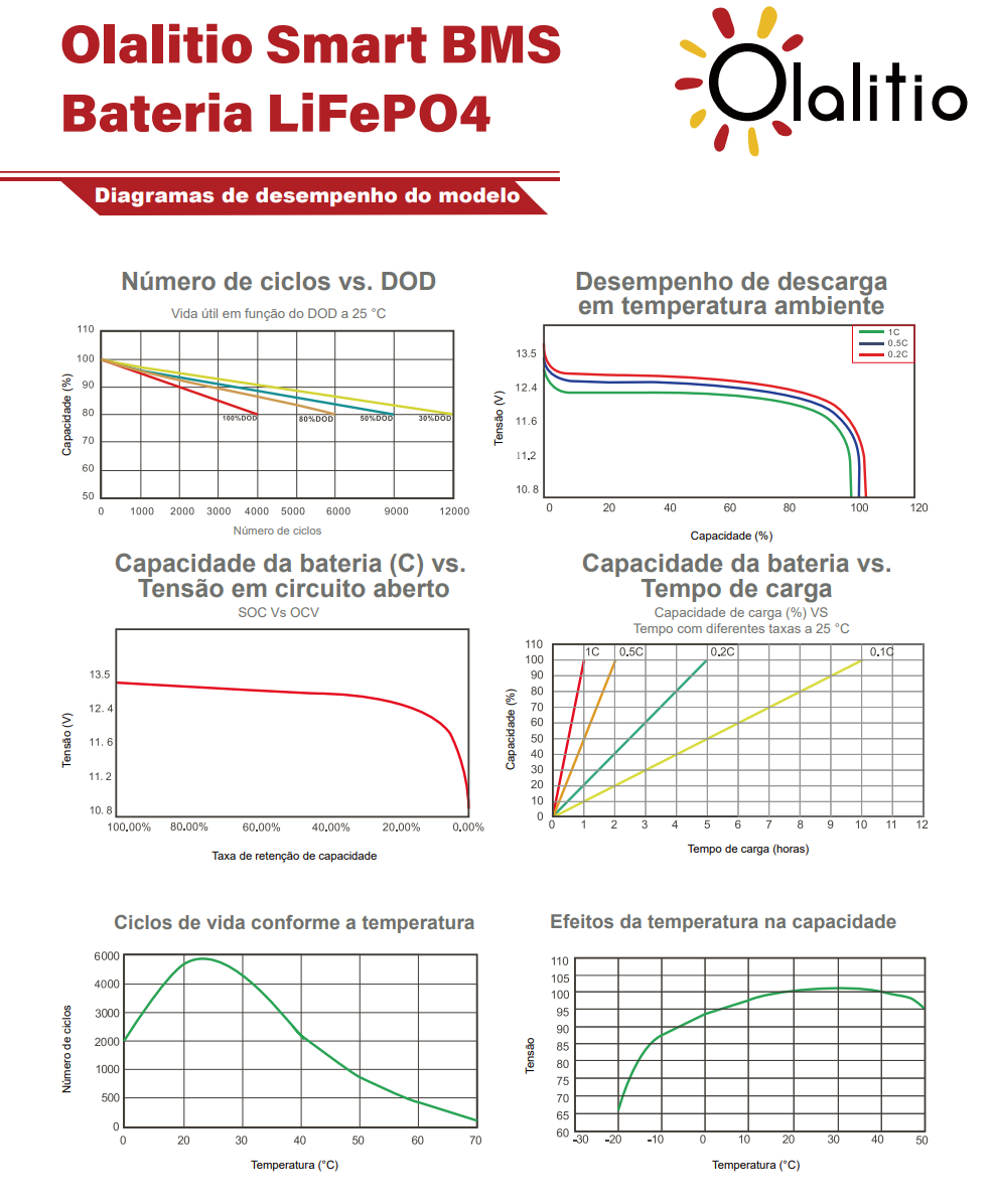 Bateria LiFePO4-100Ah - Olalitio Smart BMS (OLA-24-100-PH)